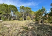 Parcel·la urbanitzable en venda a la España, Carme, ref.: TR122203 foto
