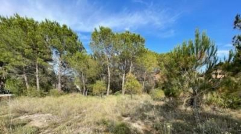 Barcelona - Carme - 807m2