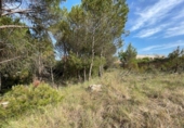 Parcel·la urbanitzable en venda a la España, Carme, ref.: TR122203 foto