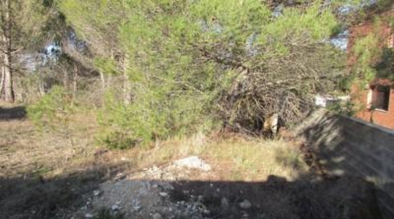 Barcelona - Carme - 807m2