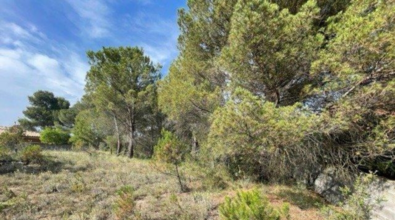 Barcelona - Carme - 807m2