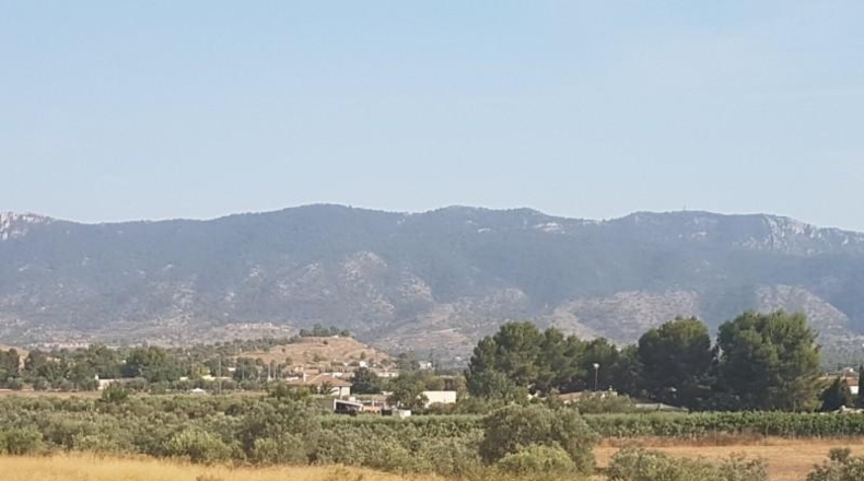Alicante - Hondón de las Nieves - 12000m2