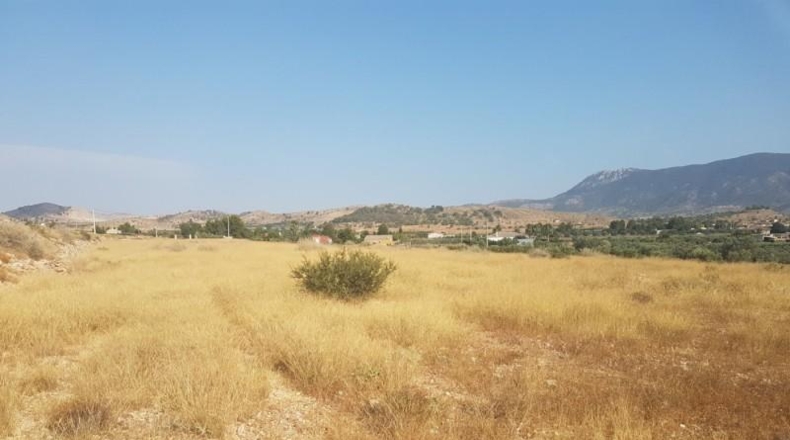 Alicante - Hondón de las Nieves - 12000m2
