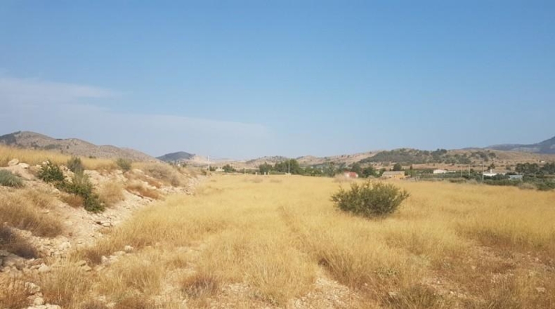 Alicante - Hondón de las Nieves - 12000m2