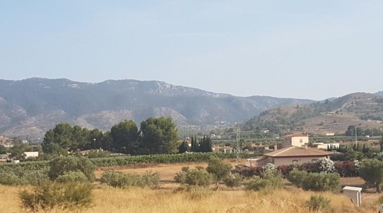Alicante - Hondón de las Nieves - 12000m2