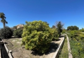 Non-developable land for sale on España, Murcia, ref: TR310756 photo