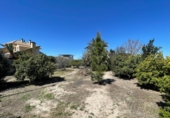 Non-developable land for sale on España, Murcia, ref: TR310756 photo