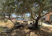 Land suitable for development for sale on España, Carmona, ref: TR248280 photo