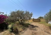 Land suitable for development for sale on España, Carmona, ref: TR248280 photo
