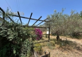 Land suitable for development for sale on España, Carmona, ref: TR248280 photo