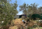 Land suitable for development for sale on España, Carmona, ref: TR248280 photo