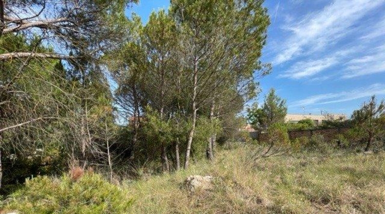 Barcelona - Carme - 807m2