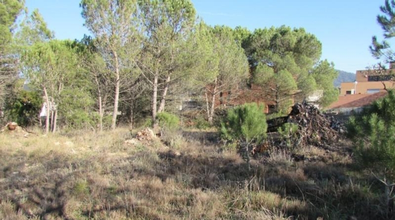 Barcelona - Carme - 807m2