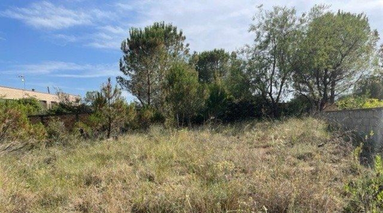 Barcelona - Carme - 807m2
