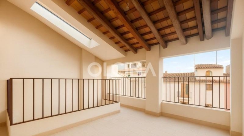 Alicante - Cocentaina - 304m2