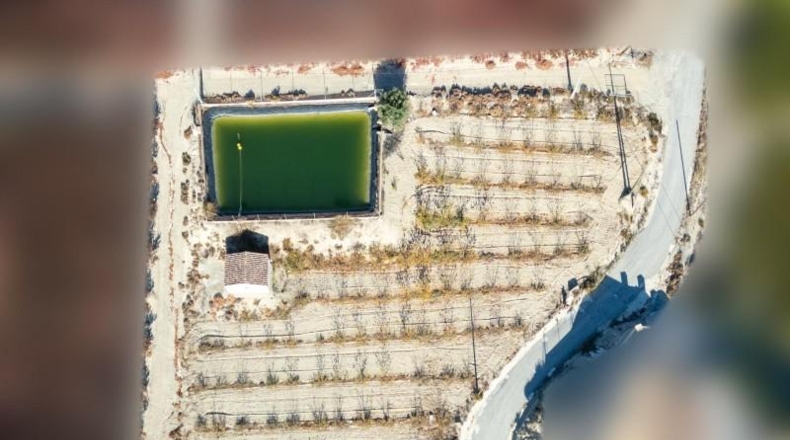 Murcia - Abarán - 10000m2