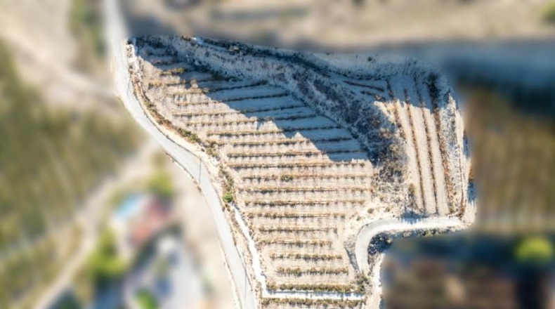 Murcia - Abarán - 10000m2