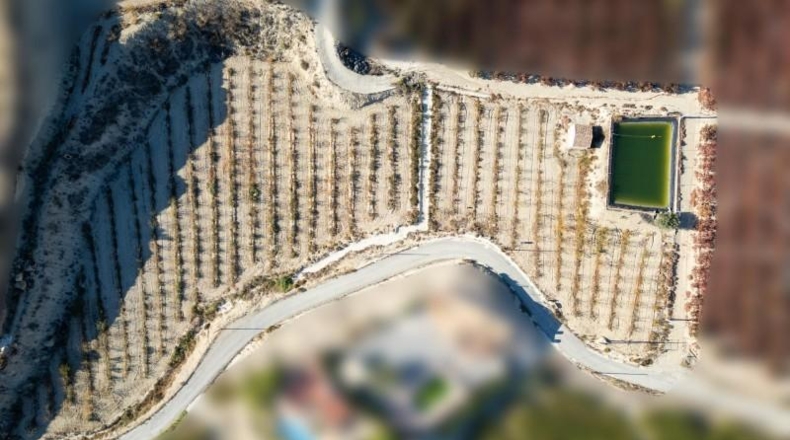Murcia - Abarán - 10000m2