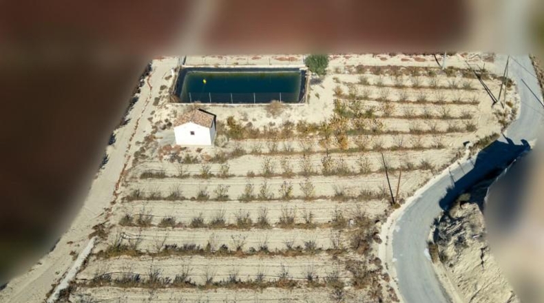 Murcia - Abarán - 10000m2