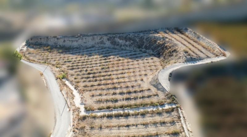 Murcia - Abarán - 10000m2
