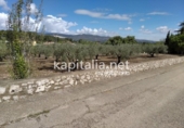 Country house with land for sale on España, Ontinyent, ref: TR347971 photo