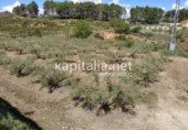 Country house with land for sale on España, Ontinyent, ref: TR347971 photo