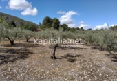 Country house with land for sale on España, Ontinyent, ref: TR347971 photo