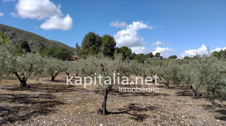 Valencia - Onteniente - 30m2