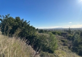 Non-developable land for sale on España, Alginet, ref: TR317115 photo
