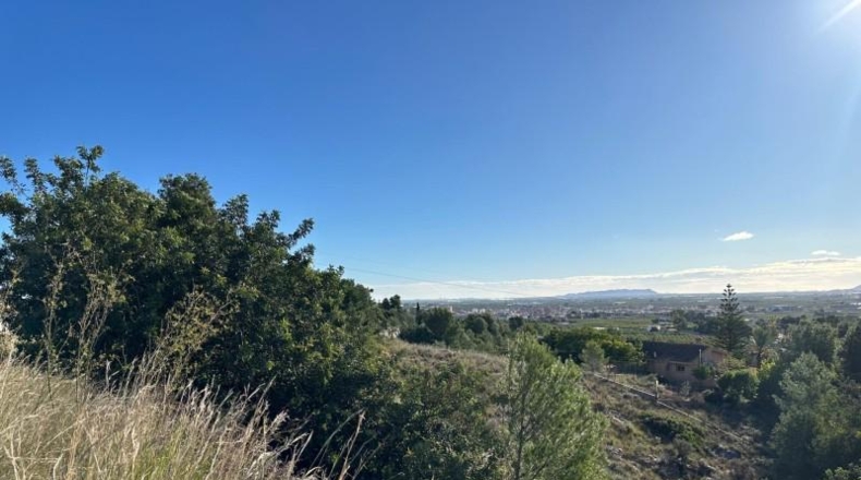 Valencia - Alginet - 12852m2