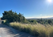 Non-developable land for sale on España, Alginet, ref: TR317115 photo