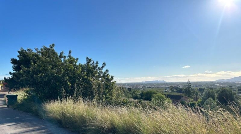 Valencia - Alginet - 12852m2