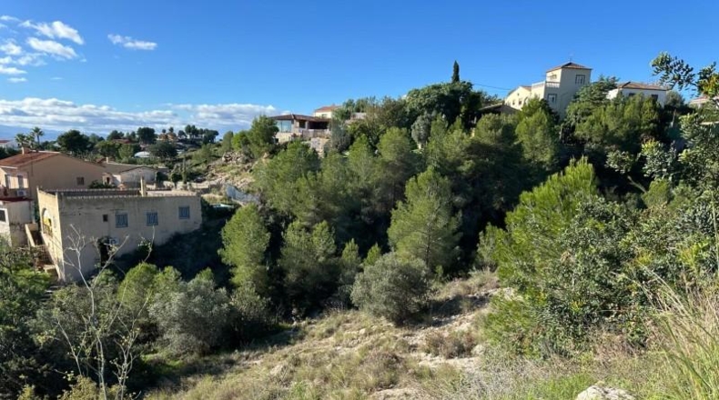 Valencia - Alginet - 12852m2