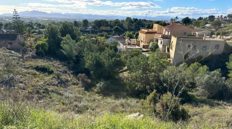 Valencia - Alginet - 12852m2