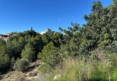 Non-developable land for sale on España, Alginet, ref: TR317115 photo