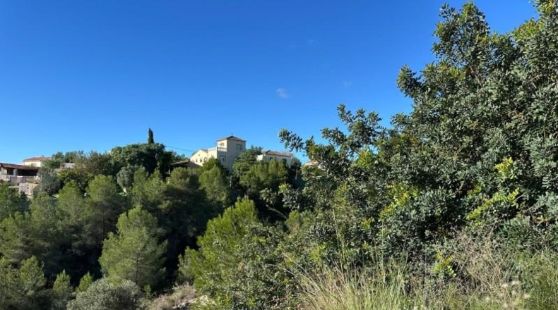 Valencia - Alginet - 12852m2