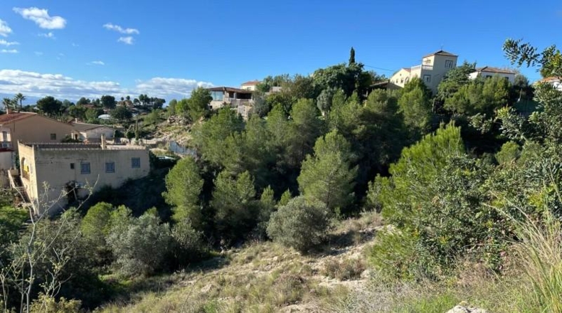 Valencia - Alginet - 12852m2