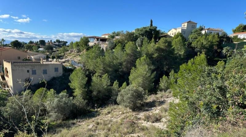 Valencia - Alginet - 12852m2