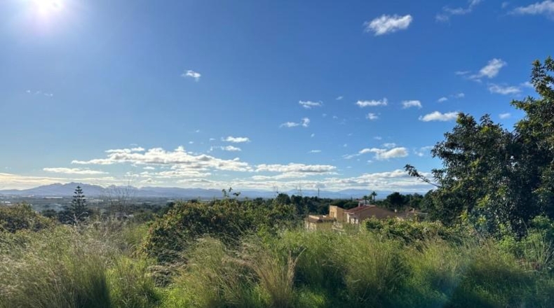Valencia - Alginet - 12852m2
