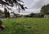Detached villa with land for sale on España, Terradillos, ref: TR400269 photo