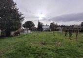 Detached villa with land for sale on España, Terradillos, ref: TR400269 photo