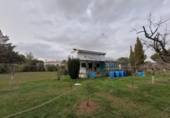 Detached villa with land for sale on España, Terradillos, ref: TR400269 photo