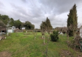 Detached villa with land for sale on España, Terradillos, ref: TR400269 photo