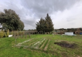 Detached villa with land for sale on España, Terradillos, ref: TR400269 photo
