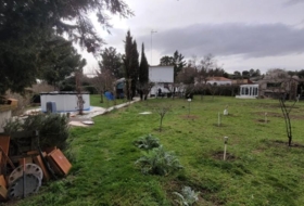 Foto 15