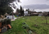 Detached villa with land for sale on España, Terradillos, ref: TR400269 photo
