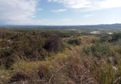 Non-developable land for sale on España, Alginet, ref: TR241866 photo