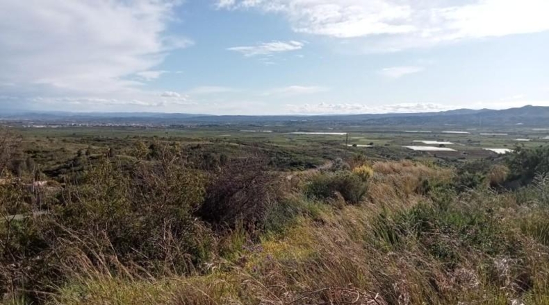 Valencia - Alginet - 855m2