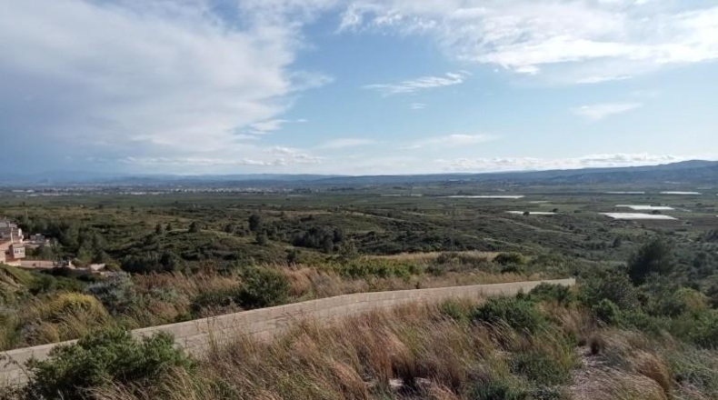Valencia - Alginet - 855m2