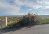 Non-developable land for sale on España, Alginet, ref: TR241866 photo